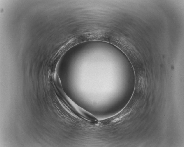 X0000082201250200701191433