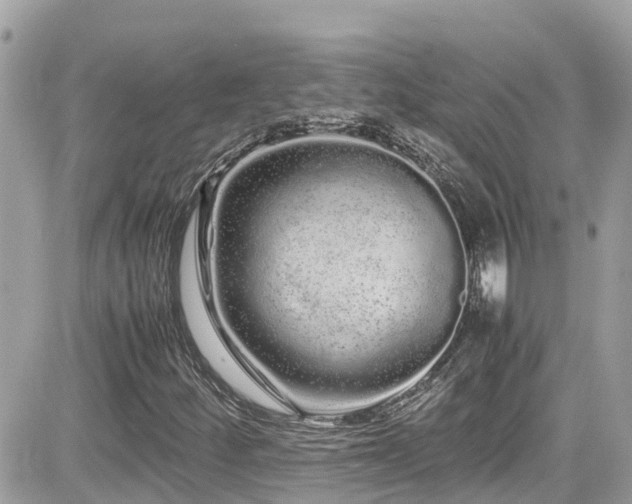 X0000082201252200701191433
