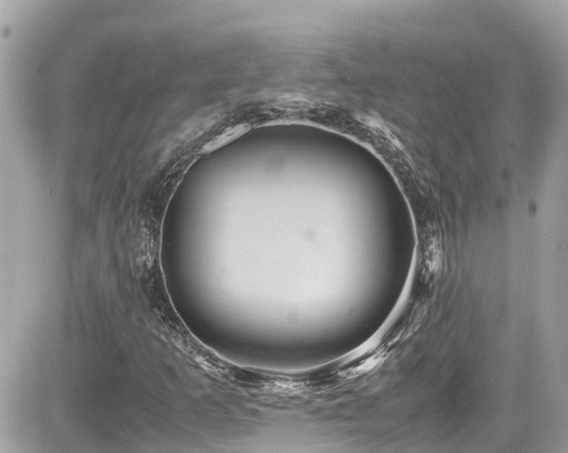 X0000082201253200701191433