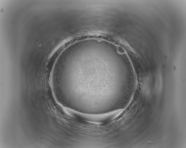 X0000082201256200701191433