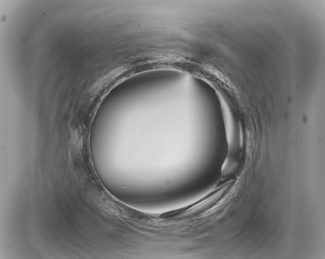 X0000082201257200701191433