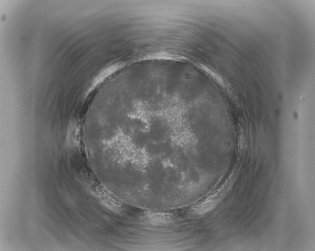 X0000082201258200701191433