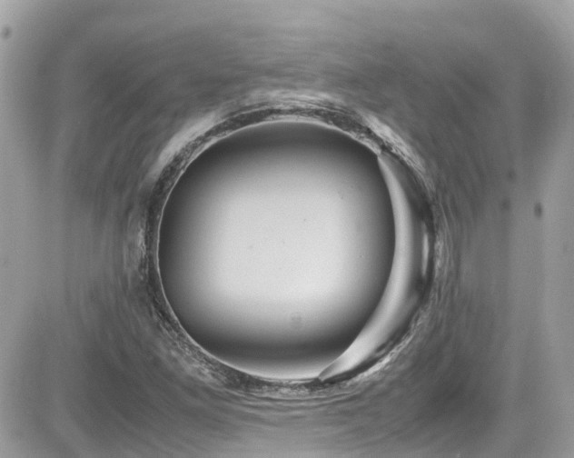 X0000082201261200701191433