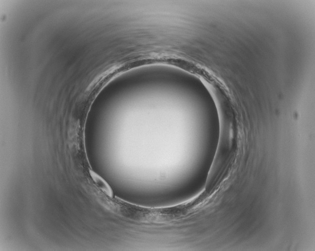 X0000082201265200701191433