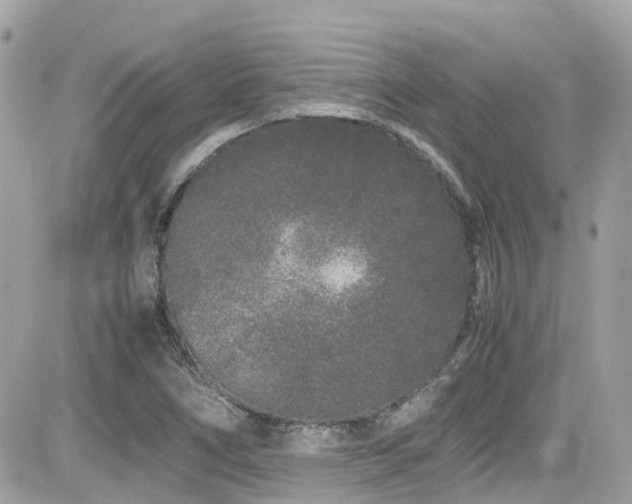 X0000082201266200701191433