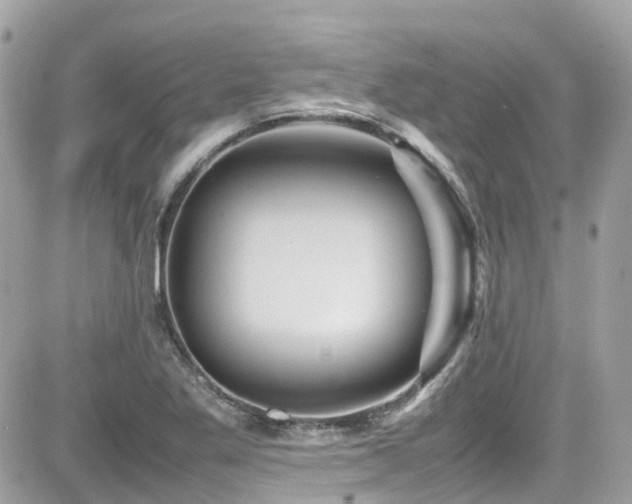 X0000082201269200701191433