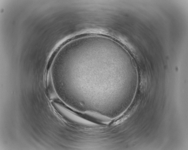X0000082201272200701191433