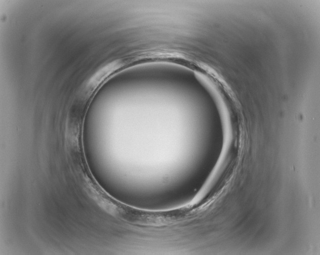 X0000082201273200701191433