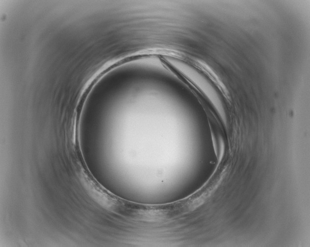 X0000082201276200701191433