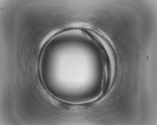 X0000082201277200701191433
