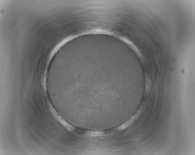 X0000082201278200701191433