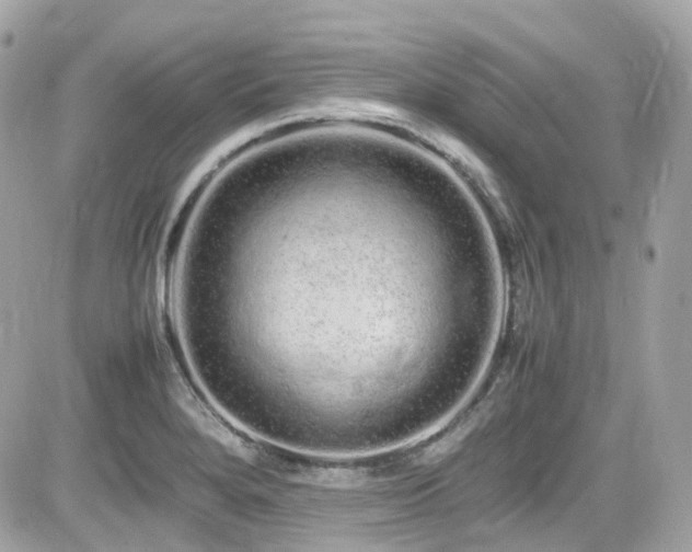 X0000082201280200701191433