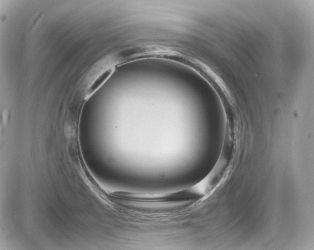 X0000082201281200701191433