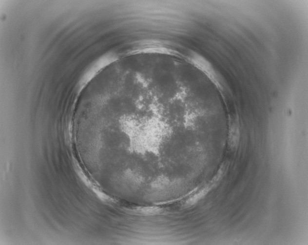 X0000082201282200701191433
