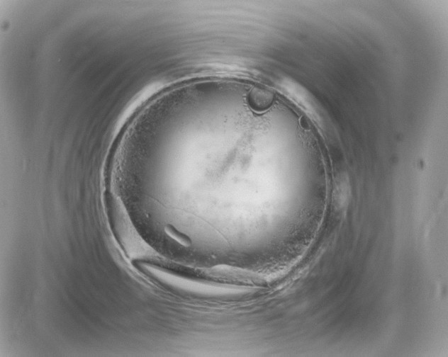 X0000082201283200701191433