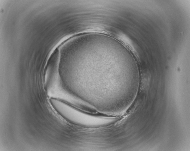 X0000082201284200701191433