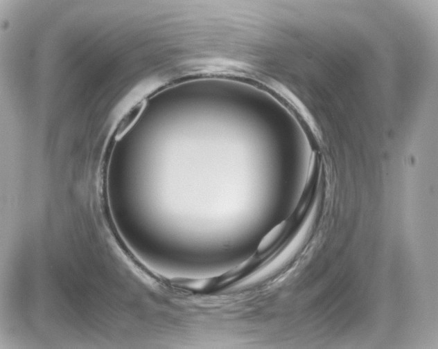 X0000082201285200701191433