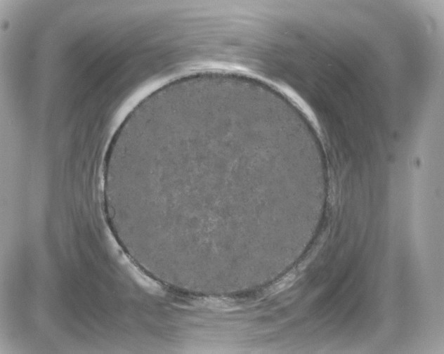 X0000082201287200701191433