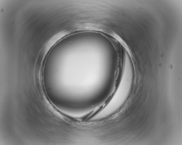 X0000082201293200701191433