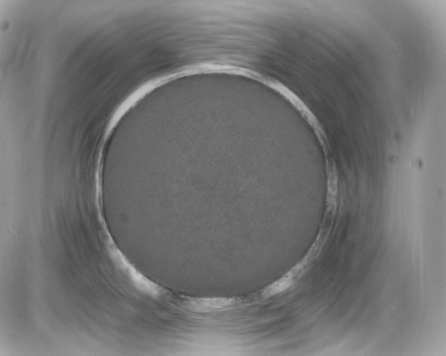 X0000082201294200701191433