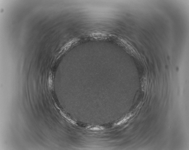 X0000082201298200701191432