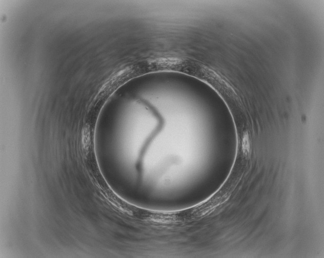 X0000082201299200701191432