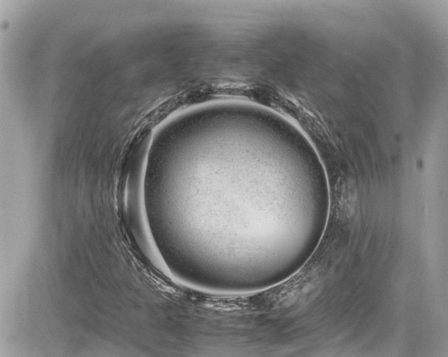 X0000082201301200701191432