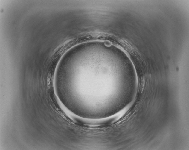 X0000082201302200701191432