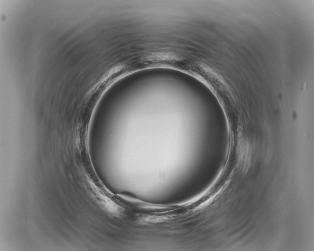 X0000082201305200701191432