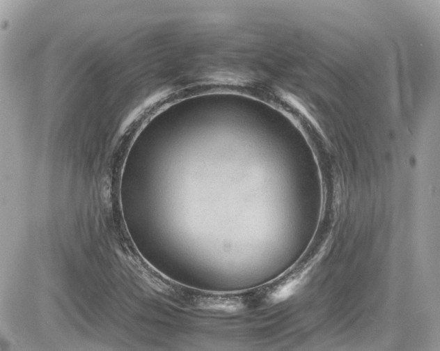 X0000082201307200701191432