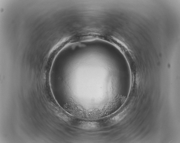 X0000082201309200701191432