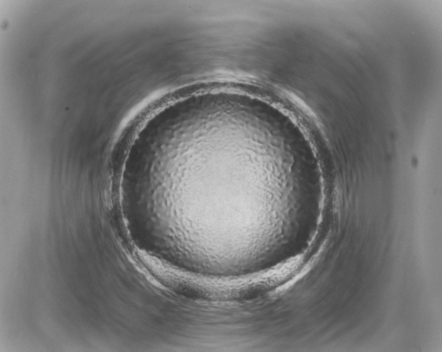 X0000082201310200701191432