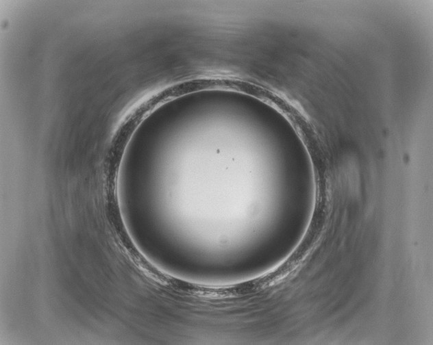 X0000082201311200701191432