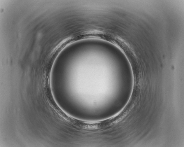 X0000082201313200701191432