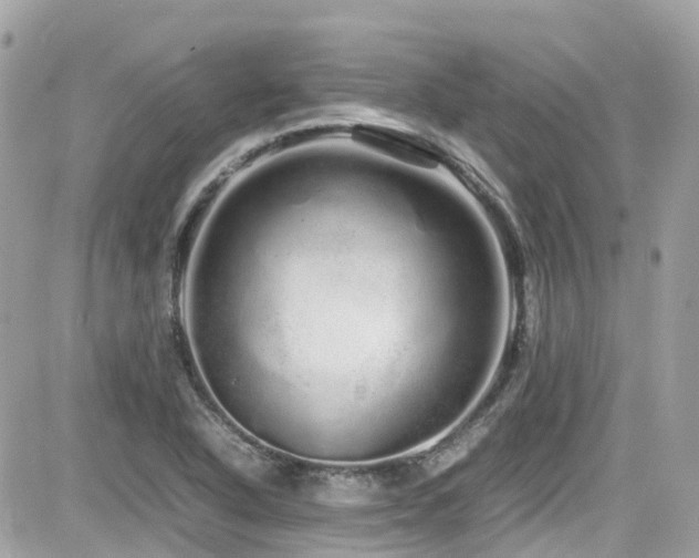 X0000082201318200701191432