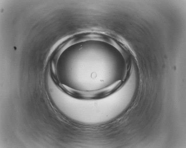 X0000082201320200701191432