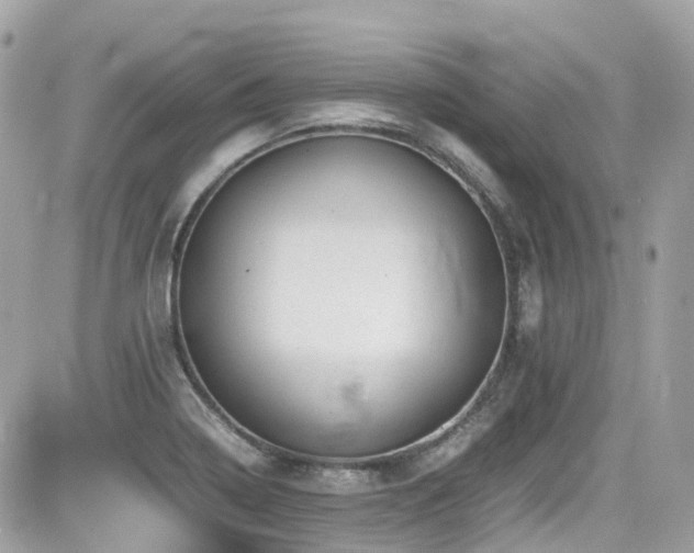 X0000082201322200701191432
