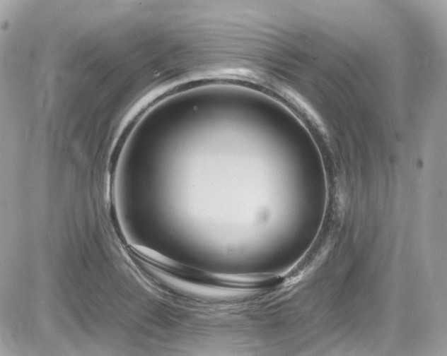 X0000082201324200701191432