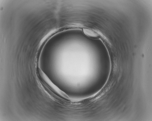 X0000082201325200701191432