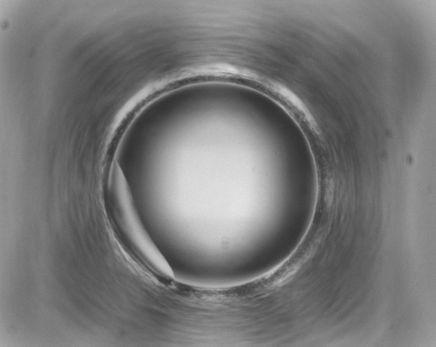 X0000082201326200701191432