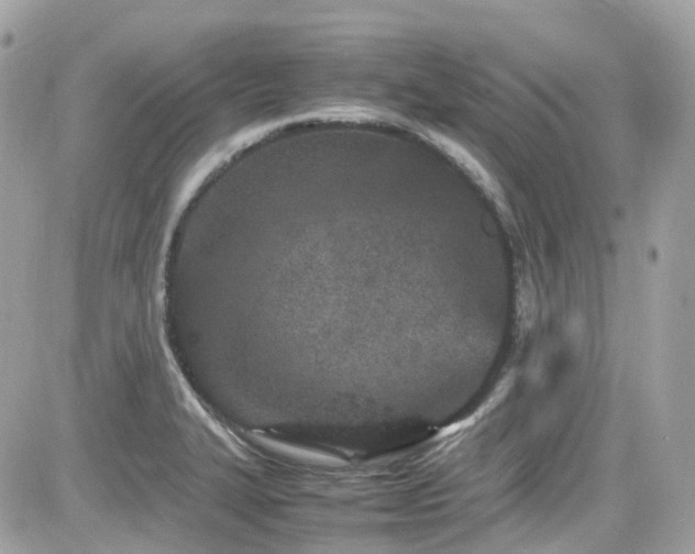 X0000082201327200701191432