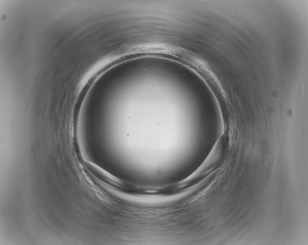 X0000082201328200701191432