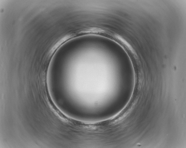 X0000082201329200701191432
