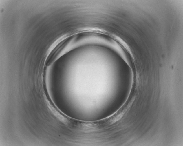X0000082201330200701191432