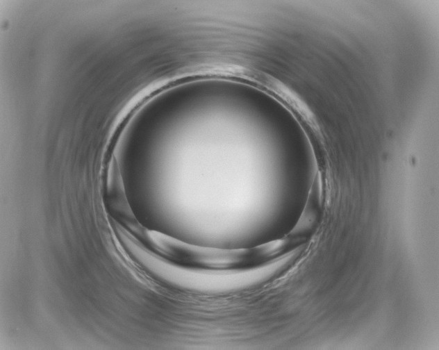 X0000082201332200701191432