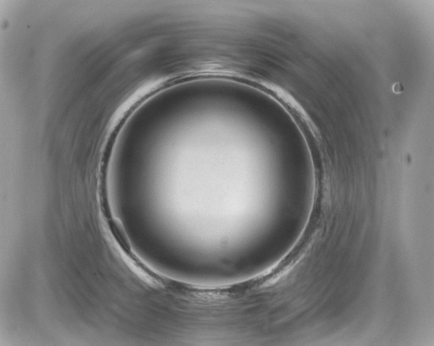 X0000082201333200701191432