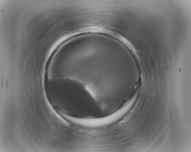 X0000082201334200701191432