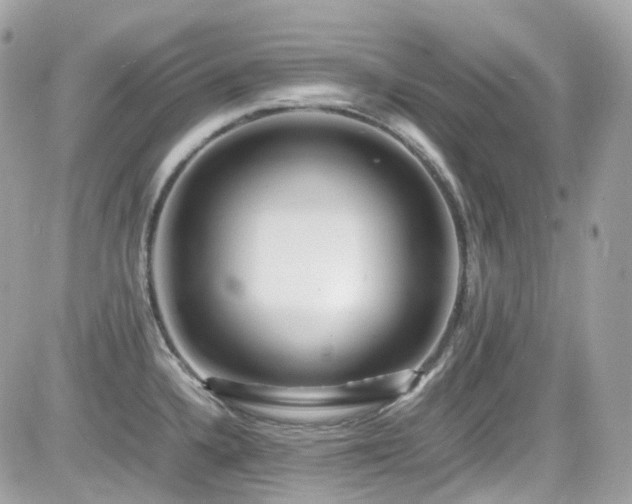 X0000082201336200701191432