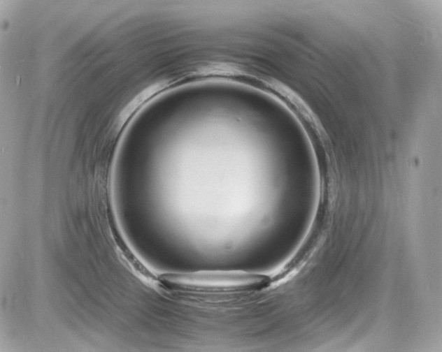 X0000082201337200701191432