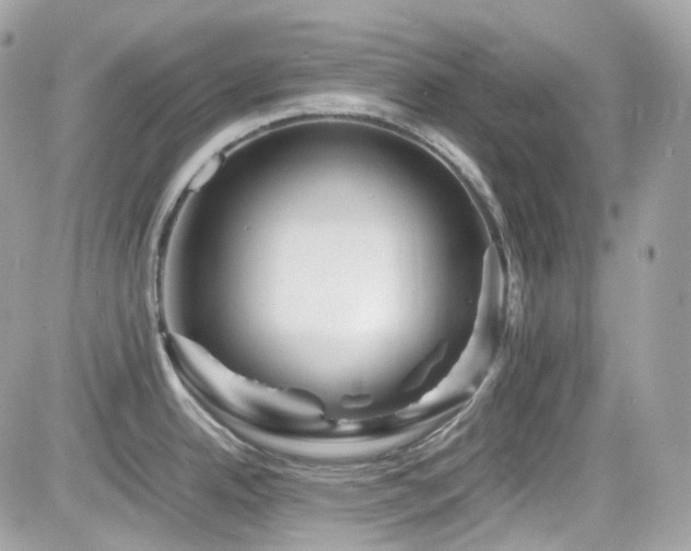 X0000082201342200701191432